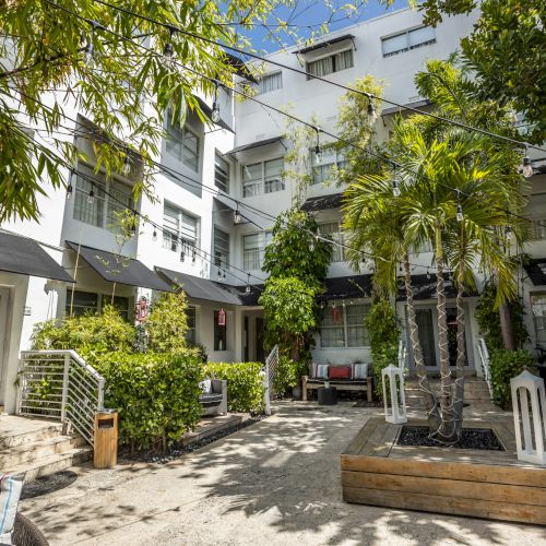 Sunlit courtyard with lush bamboo and other plants, black string lights, and outdoor seating beside a white multi-story building.