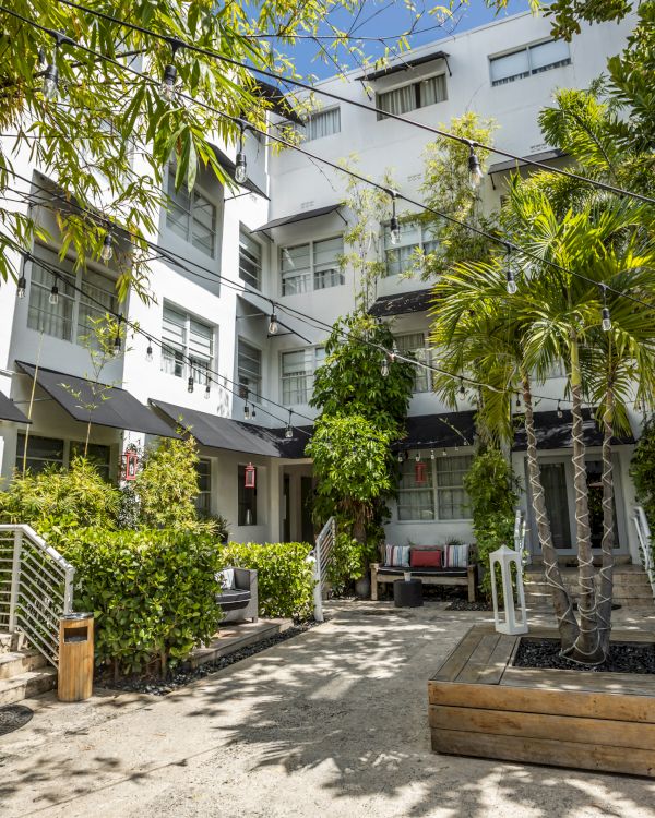 Sunlit courtyard with lush bamboo and other plants, black string lights, and outdoor seating beside a white multi-story building.