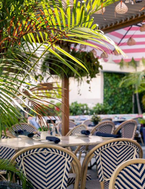 Lush green blades frame an outdoor patio with striped cushions, wicker chairs, and a pink-and-white canopy in the background.
